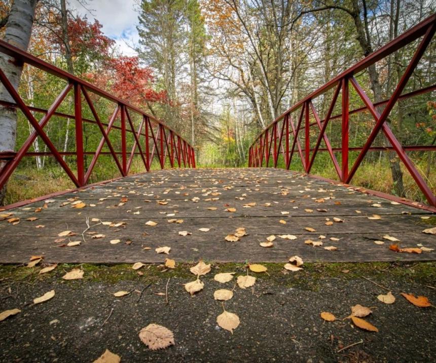 A bridge in a park in Wadena